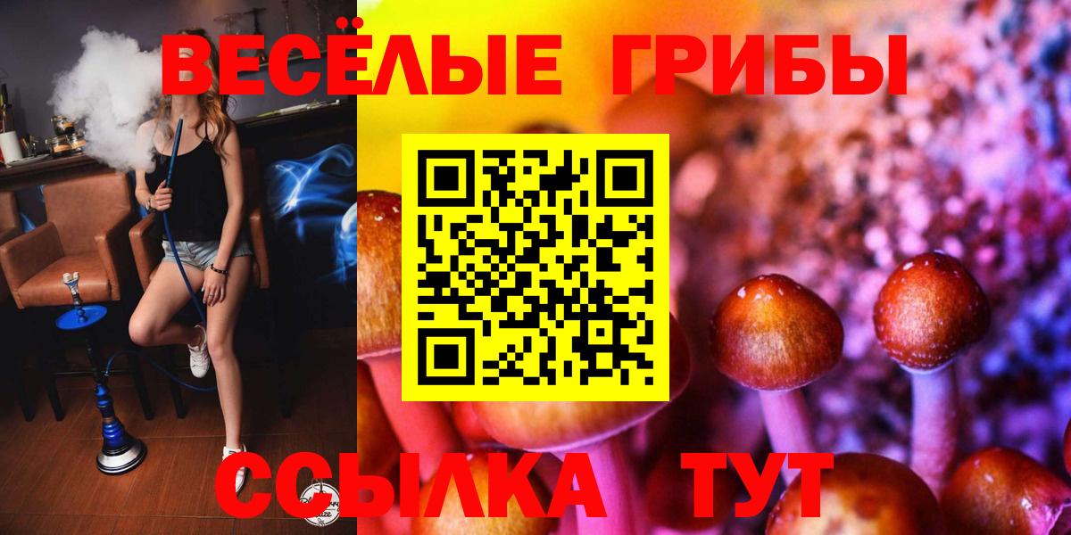 Галлюциногенные грибы Cubensis Великий Новгород